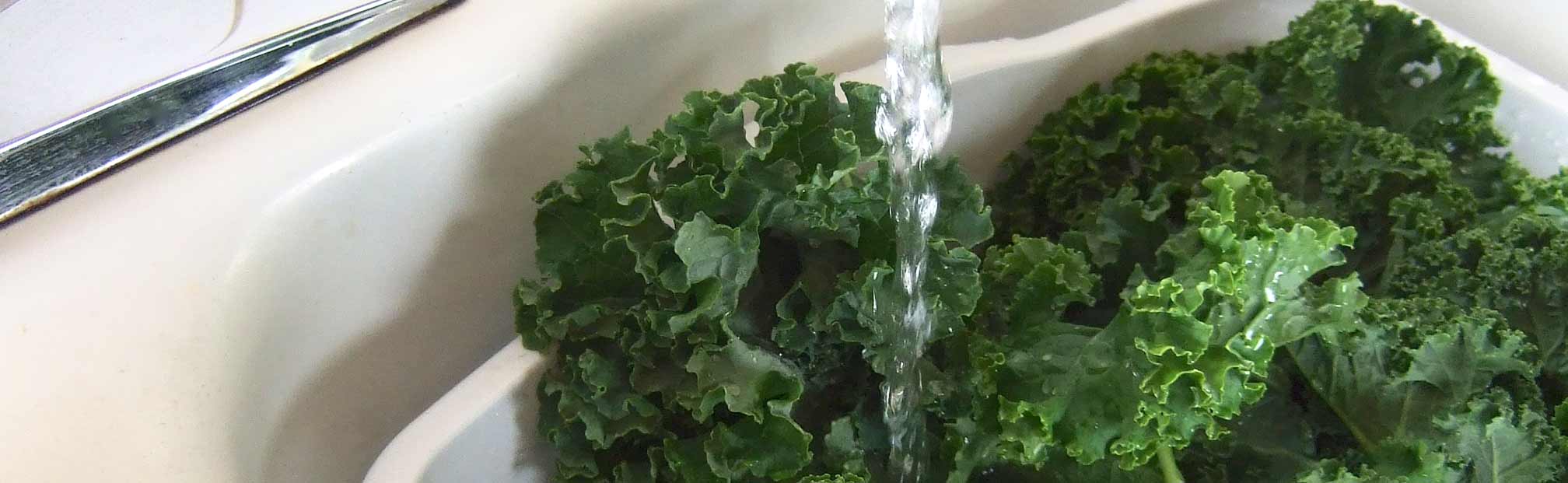 kale green washed in sink