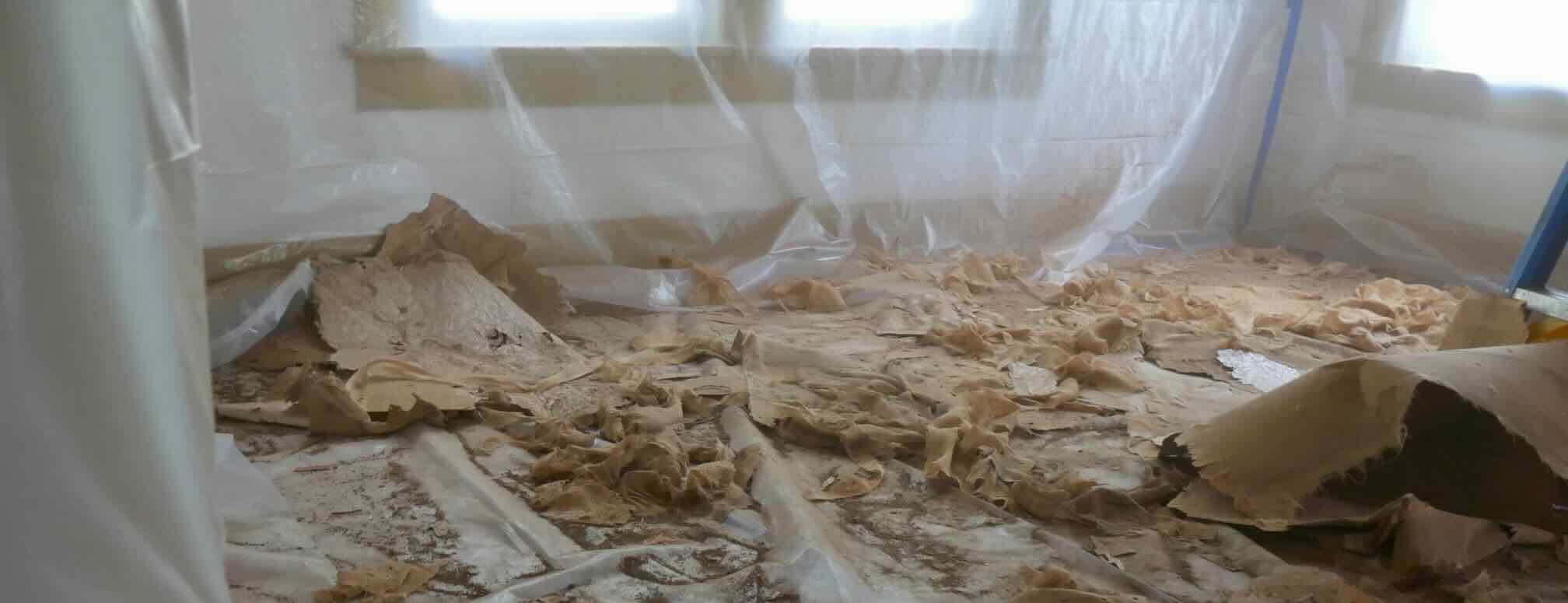 old drywall and plaster down on room floor